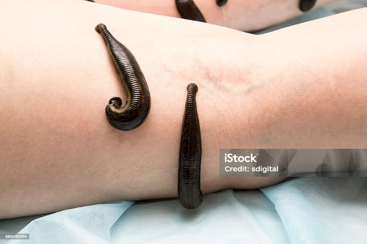 Dana Yoga – Yoga-Raum – Bei diesem Artikel handelt es sich um eine dekorative Statue von Lord Ganesha, einer weithin verehrten Gottheit im Hinduismus, die als Beseitiger von Hindernissen und Symbol der Weisheit bekannt ist.